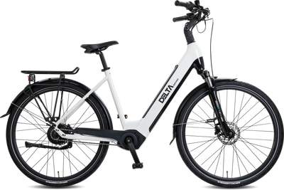 Komfort-E-Bike mit großer Reichweite