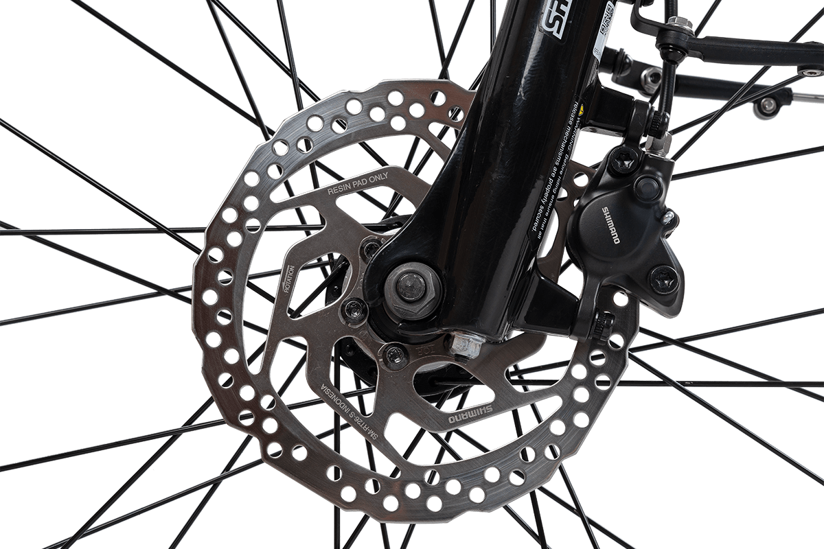 Komfort-E-Bike mit großer Reichweite