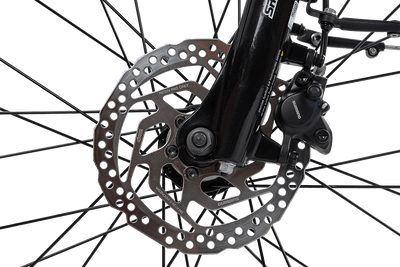 Komfort-E-Bike mit großer Reichweite