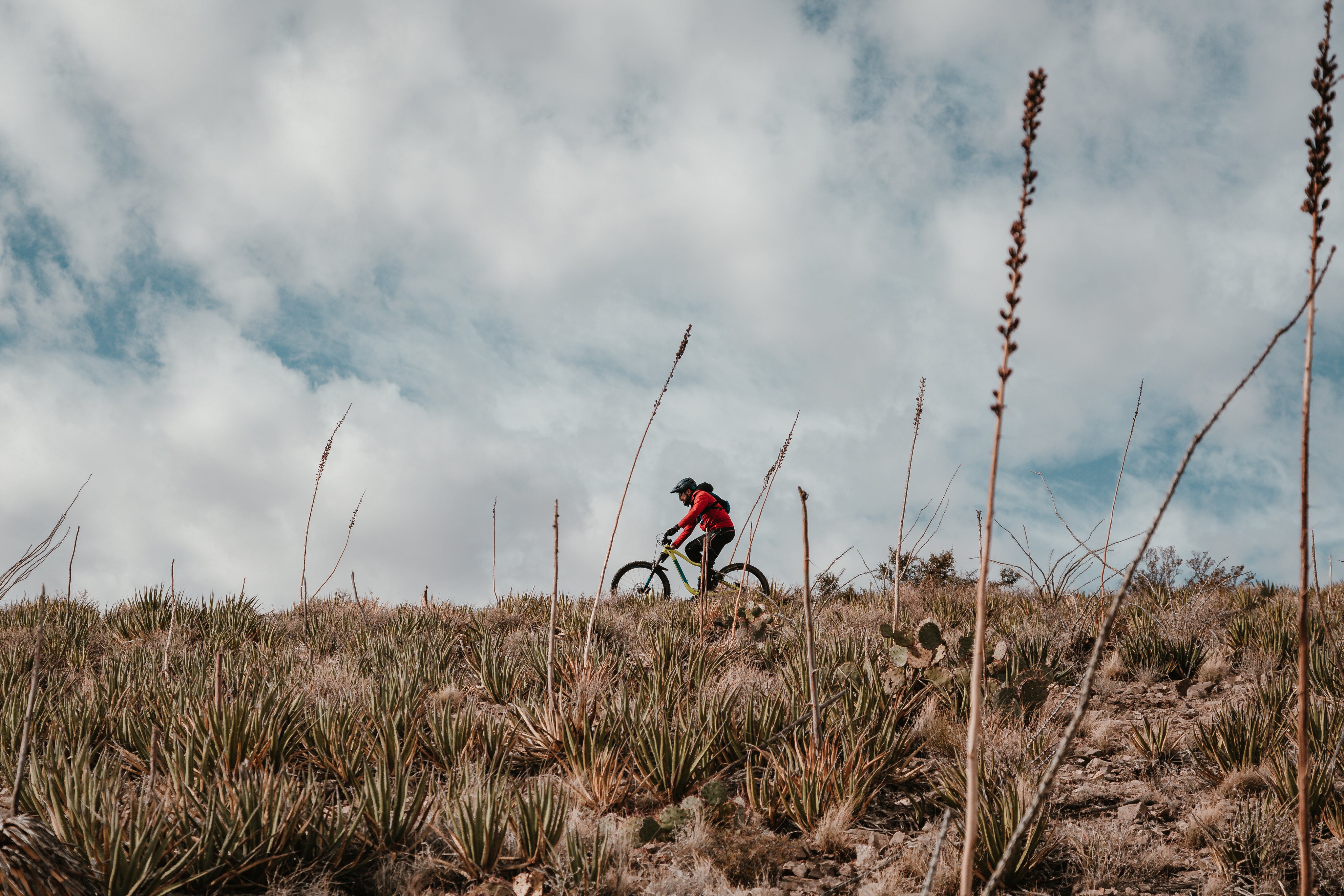 E-Bikes